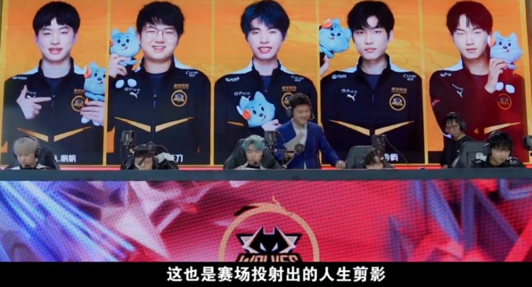 中期经历严